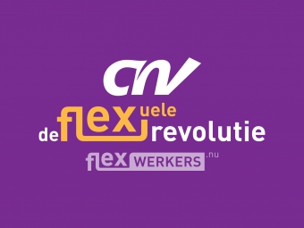 De flexuele revolutie